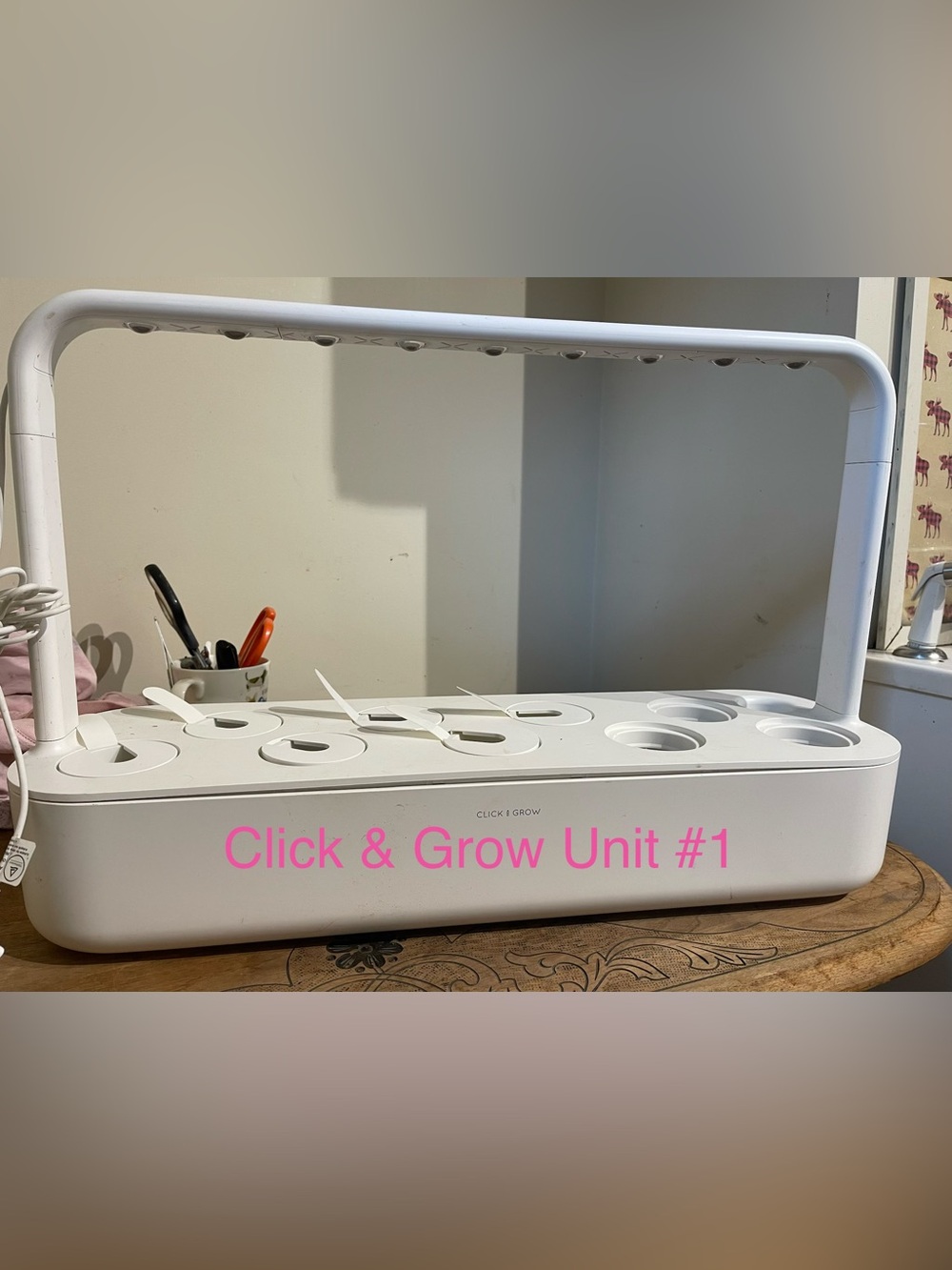 Click And Grow | 2 grow units plus accessories kit
